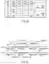 Fig. 85 - Information storage medium, reproducing method, and recording medium