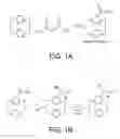 Fig. 02 - Parylene variants and methods of synthesis and use