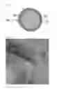 Fig. 02 - ELECTRODE ACTIVE MATERIAL FOR SECONDARY BATTERY