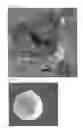 Fig. 03 - ELECTRODE ACTIVE MATERIAL FOR SECONDARY BATTERY