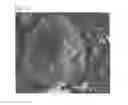 Fig. 04 - ELECTRODE ACTIVE MATERIAL FOR SECONDARY BATTERY