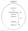 Fig. 04 - Systems and methods of training management using peer groups