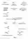 Fig. 02 - Compositions for detection of A target nucleic acid sequence