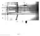 Fig. 08 - Compositions for detection of A target nucleic acid sequence