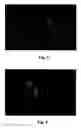 Fig. 11 - Single molecule arrays for genetic and chemical analysis