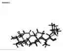 Fig. 07 - Ecdysone receptor ligand-binding domain structure
