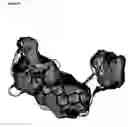 Fig. 09 - Ecdysone receptor ligand-binding domain structure