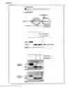 Fig. 02 - Method of posttranslational modification by adding mycrosomal membrane in cell-free protein synthesis