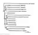 Fig. 01 - Radiation-resistant microorganism