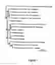 Fig. 02 - Radiation-resistant microorganism