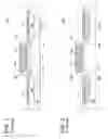Fig. 02 - Implant and anneal amorphization process