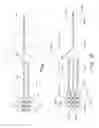Fig. 02 - Adapter for electrical stimulation leads