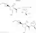 Fig. 09 - (2S,4S)-4-(piperazin-1-yl)pyrrolidine-2-methanone derivatives