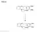 Fig. 35 - Aminocyclohexyl ether compounds and uses thereof