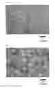 Fig. 03 - Titanium-containing solution, catalyst for polyester preparation, process for preparation of polyester resin, and blow molded product comprising polyester