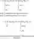 Fig. 10 - Segmented poly(ethyleneimine) compositions