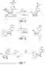 Fig. 06 - Monomer compositions for the synthesis of RNA, methods of synthesis, and methods of deprotection