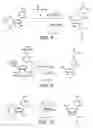 Fig. 07 - Monomer compositions for the synthesis of RNA, methods of synthesis, and methods of deprotection