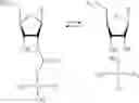 Fig. 26 - Monomer compositions for the synthesis of RNA, methods of synthesis, and methods of deprotection