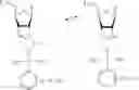 Fig. 27 - Monomer compositions for the synthesis of RNA, methods of synthesis, and methods of deprotection