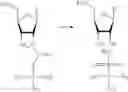 Fig. 30 - Monomer compositions for the synthesis of RNA, methods of synthesis, and methods of deprotection