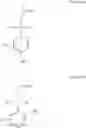 Fig. 61 - Monomer compositions for the synthesis of RNA, methods of synthesis, and methods of deprotection