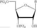 Fig. 89 - Monomer compositions for the synthesis of RNA, methods of synthesis, and methods of deprotection