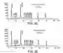 Fig. 04 - Solutions, methods, and processes for deprotection of polynucleotides