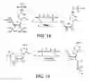 Fig. 09 - Solutions, methods, and processes for deprotection of polynucleotides