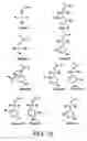 Fig. 10 - Solutions, methods, and processes for deprotection of polynucleotides