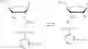 Fig. 27 - Solutions, methods, and processes for deprotection of polynucleotides