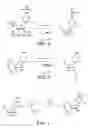 Fig. 06 - Monomer compositions for the synthesis of polynucleotides, methods of synthesis, and methods of deprotection