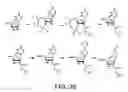 Fig. 12 - Monomer compositions for the synthesis of polynucleotides, methods of synthesis, and methods of deprotection