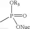 Fig. 23 - Monomer compositions for the synthesis of polynucleotides, methods of synthesis, and methods of deprotection