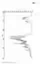 Fig. 03 - Crystalline alfuzosin base