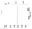 Fig. 04 - PROCESS FOR PREPARING LETROZOLE