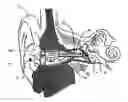 Fig. 01 - Output transducers for hearing systems