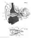 Fig. 08 - Output transducers for hearing systems