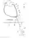 Fig. 08 - Apparatus and method of delivering biomaterial to the heart