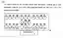Fig. 04 - Method and apparatus for stimulating exercise