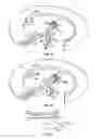 Fig. 03 - Method and apparatus for body fluid sampling and analyte sensing