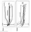Fig. 02 - Non-surgical correcting abnormal knee loading