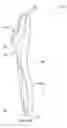 Fig. 23 - Fracture brace