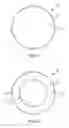 Fig. 02 - Navel concealer