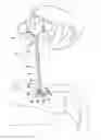 Fig. 01 - Needle assembly for radiating bioactive compounds through tissue