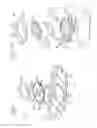 Fig. 02 - Method and device for the iontophoretic delivery of a drug