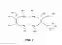 Fig. 04 - Facilitation of endothelialization by in situ surface modification