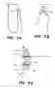 Fig. 12 - Apparatus and methods for the treatment of the intervertebral disc