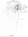 Fig. 54 - Apparatus and methods for the treatment of the intervertebral disc