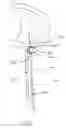 Fig. 57 - Apparatus and methods for the treatment of the intervertebral disc